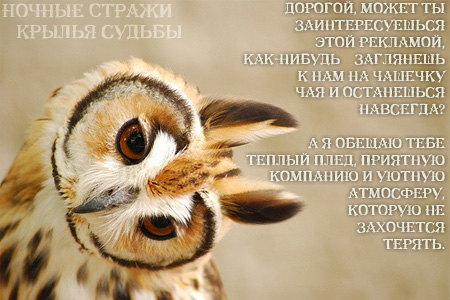http://night-guardians.ucoz.ru/Images_for/Reklama-2.jpg