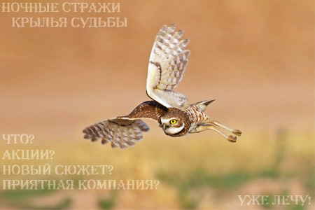 http://night-guardians.ucoz.ru/Images_for/Reklama-4.jpg
