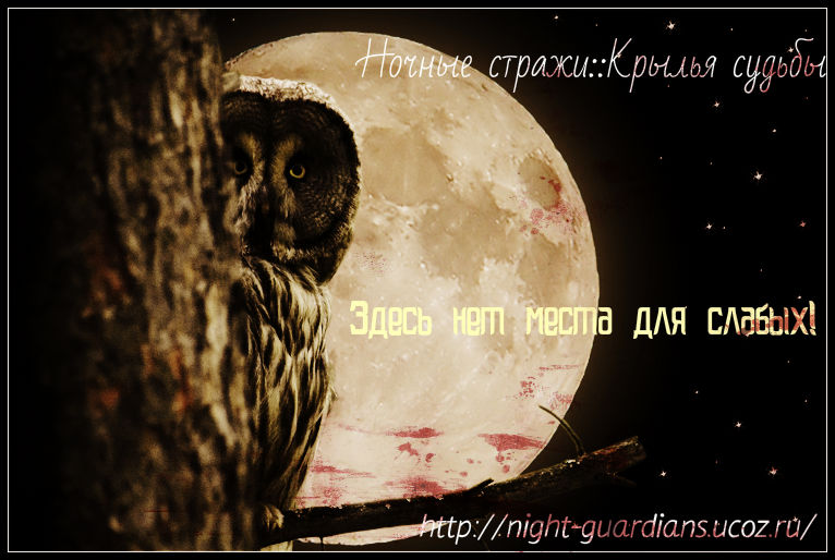 http://night-guardians.ucoz.ru/_fr/8/7590491.jpg